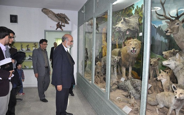 موزه علوم طبیعی